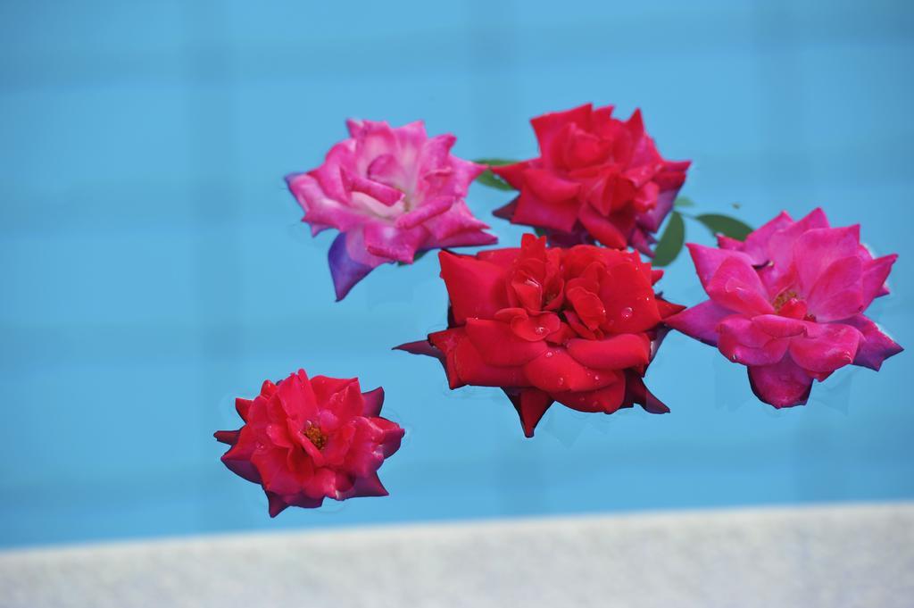 Hotel Marina Kolios ภายนอก รูปภาพ